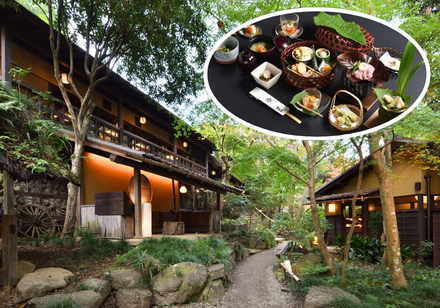 <Web割対象商品>【キングツアーバス旅】東京の奥座敷・秋川渓谷に佇む「黒茶屋」季節の山里料理 純白の「アナベルの雪山」&ピンクアナベル 「日本の滝百選・払沢の滝」〔新宿・調布発〕2